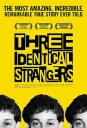 孪生陌生人 Three Identical Strangers 【蓝光1080p内嵌中英字幕】【2018】【纪录片】【英国】